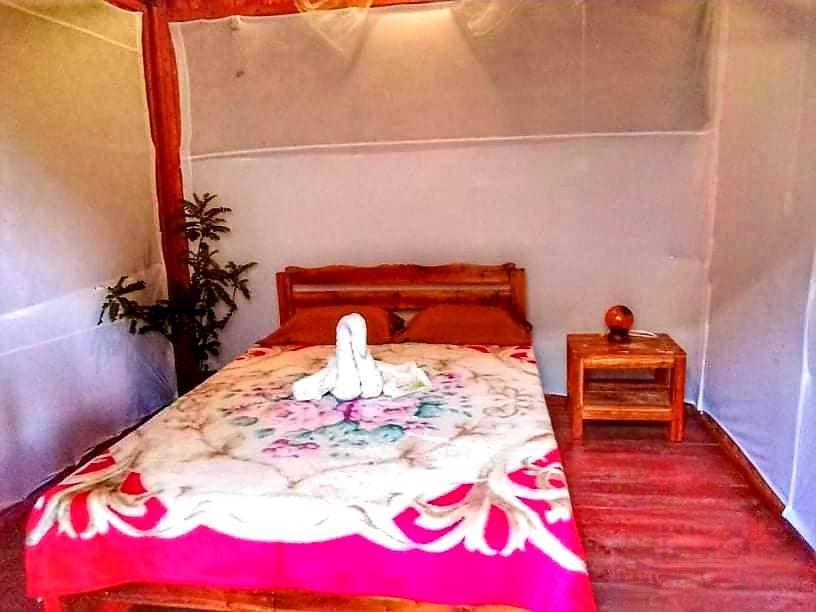 Shukran Apartelle سيكويجور المظهر الخارجي الصورة