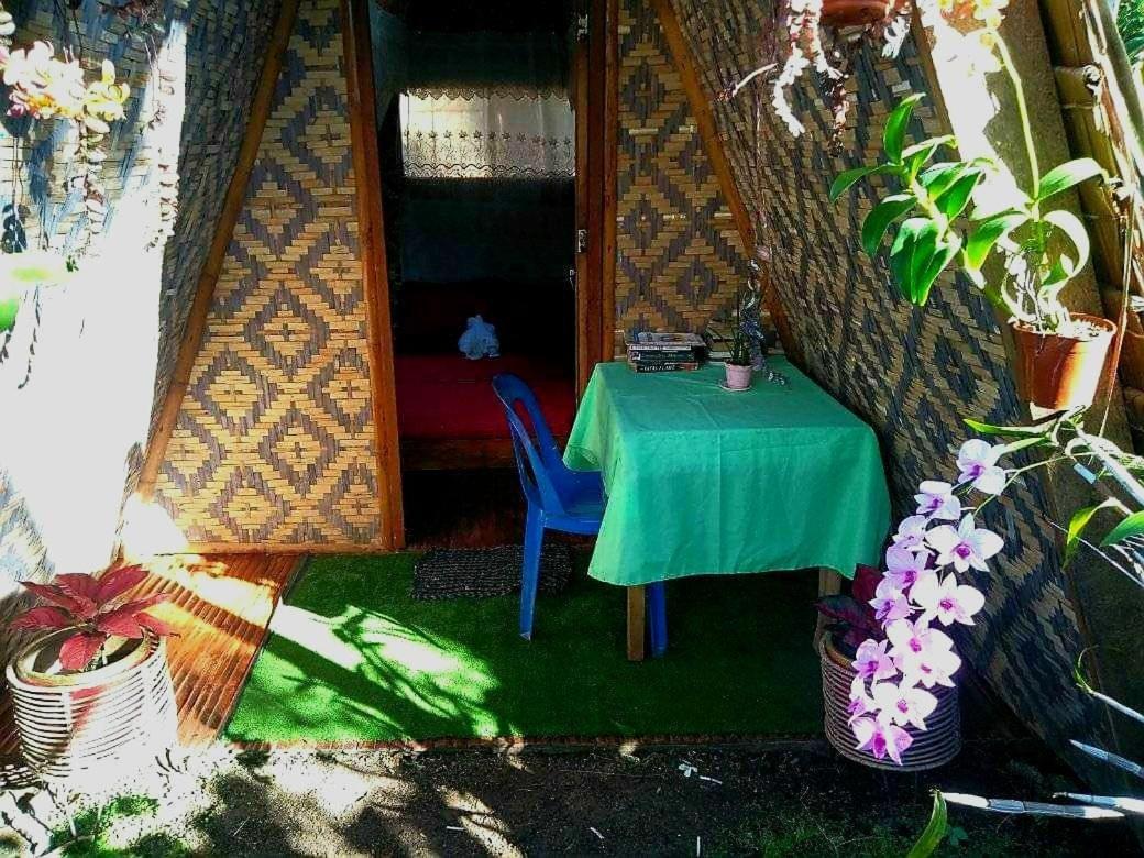 Shukran Apartelle سيكويجور المظهر الخارجي الصورة